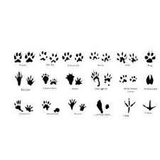 We did not find results for: What Animal Best Describes You Quizzes