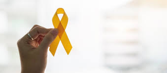 ↑ «ibope baixo provoca o fim do 'sítio do picapau amarelo'». O Que E Setembro Amarelo Quando Surgiu E Objetivos
