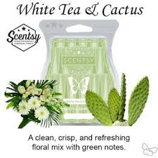 White tea & cactus scent. White Tea Cactus Scentsy Bar The Candle Boutique Scentsy Uk Consultant