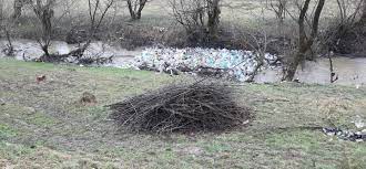 Trimisi la fata locului, inspectorii garzii nationale de mediu maramures au. Garda De Mediu MaramureÈ Posts Facebook