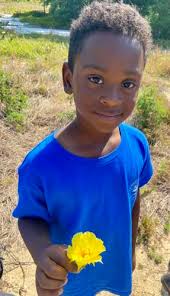 Forest school: Turning Fridays into fun days by taking classroom learning  outdoors