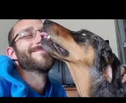 alex pretti was a nurse at the Va, he was also a dog owner