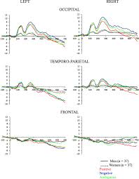 Namun harus tetap dikerjakan secara teliti agar tidak terjadi kesalahan. Neural Correlates Of Sex Related Differences In Attachment Dimensions Springerlink
