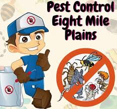 See more of affordable pest control service on facebook. Pest Control Eight Mile Plains 100 Safe Guaranteed Pest Control