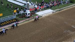 Check spelling or type a new query. 146th Preakness Stakes Draws Record Setting Betting Handle Despite Covid Era Crowd Baltimore Business Journal