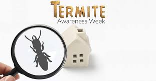 National termite pest control costs. Termite Awareness Week 2021 Arrow Exterminating