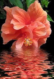 Pin On Nature Scapes And Miracles
