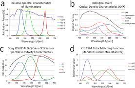 A ccd is an electronic detector constituted by many square photosensitive pixels. Spectra Of Illumination Stains Ccd Sensors And Cie Tristimulus Download Scientific Diagram