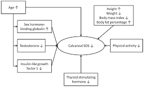 Incur meaning, definition, what is incur: Ijerph Free Full Text Lessons From The Bone Chapter Of The Malaysian Aging Men Study Html