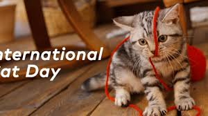 On the happy occasion of national cat day 2020, i want to wish you and your dearest, cutest cat a day full of love, merriment and enjoyment…. International Cat Day 2020 History And Significance Of The Day Time Bulletin