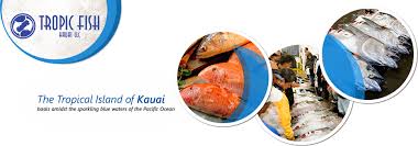 Tropic Fish Kauai Llc Product Chart