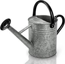 Types of can openers consider the following types of can openers to find one that meets your needs: Amazon Com Cesun Metal Watering Can Galvanized Steel Watering Pot With Removable Spray Spout Movable Upper Handle 1 Gallon For Outdoors Gardening Vintage Zinc Kitchen Dining