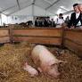 Foire de Châlons Emerges as Key Event for 2027 French Presidential Candidates Amidst Unique Presidential Powers