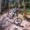 Mountainbikes online kaufen & täglich von neuen angeboten profitieren! 1