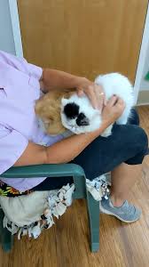 Wendy with Vincent and Winston