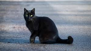 In iran, friday is the last day of the weekend, with saturday as the first day of the working week. It S Friday The 13th With The Rest Of 2020 S Drama Why Is This Day So Special