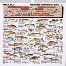 Tightline Publications Fishing F W I D 8 Freshwater Identification Chart
