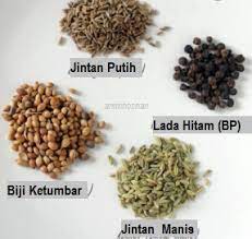 Serbuk jintan manis ini sangat harum. Anim Agro Technology Fakta Herba Jintan