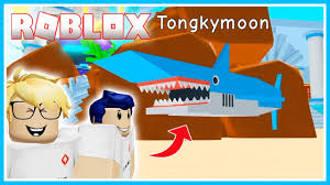 Duo Cumi Main Hiu Cupang Roblox Bang Cupu Youtube