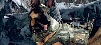 (operation tiers and # of kills required are not included) amplify master: What S New In Call Of Duty Ghosts Multiplayer