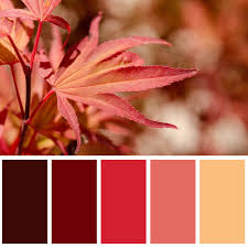 Colours Color Balance Color Combos Color Blending