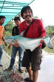 Strike Jengis Khan Cingmancing