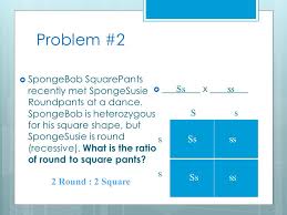 Create a punnett square to show the possibilities that would result if spongebob and sponge susie had children. How To Make A Punnett Square A Step By Step Method Ppt Download