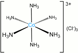 Definition Of Complex Chemistry Dictionary
