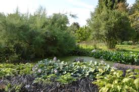 Botanischer Garten Dusseldorf