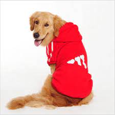 golden retriever kopek buyuk boy kis kopekler icin ucuz bebek buyuk kopek kiyafetleri kopekler icin giyim giyim kapsonlu spor ceket en iyi fastprice news