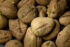 Bildergebnis für Eve Ariza