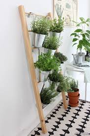 Krauterleiter Fur Drinnen Selber Bauen Dekotopia Krauterleiter Krautergarten Drinnen Pflanzideen