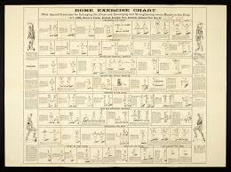 Home Exercise Chart 1891 Home Exercise Chart With Specia