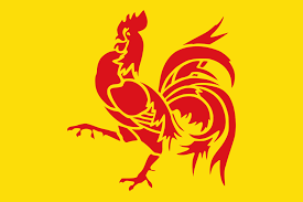 Début mai, 25 000 pass visit wallonia ont été distribués à 25 000 foyers qui s'étaient inscrits dès 8 h du matin sur le site visitwallonia.be. Wallonia Wikipedia