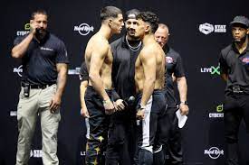 Austin mcbroom won the fight via tko in 45 seconds of round three. Gmczfggurajsgm