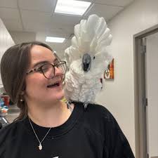 Wisdom meets mischief.