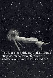 You Re A Ghost Driving A Meat Coated Skeleton Made Of Stardust What Do You Have To Be Scared Of Astral Plane Astral Projection Fear Of Flying