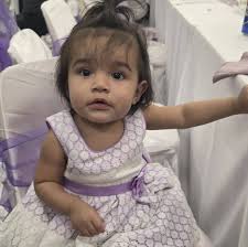 Starlink login issues and reactivation problems