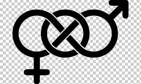 gender symbol feminism bisexuality lgbt symbols png clipart