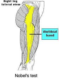 Pin On Physio