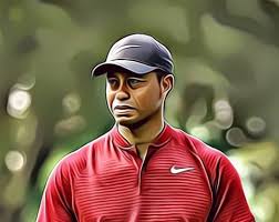 His career earnings which also includes earnings from endorsement and sponsorship deals total $1.6 billion. Tiger Woods Net Worth In 2020 Money Munchies