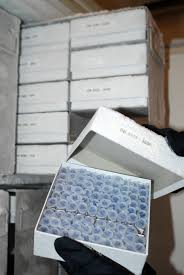 Banken und sparkassen im berlinfinder. Dna Bank Bgbm