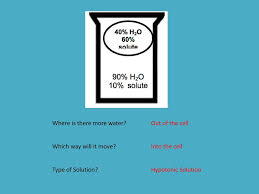 Simple diffusion is carried out by the actions of hydrogen bonds forming between water molecules and solutes. Why Is The Cell Membrane So Important Ppt Download