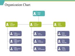 organization chart ppt powerpoint presentation file