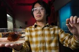 Arkansas Plant To Produce Edamame