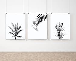 Black And White Framed Art Sets Succulent Wall Art Set Cactus Black And White Prints Fern Tropical Printables Botanical Palm Leaf Prints Digital Download Leaf Prints Succulent Wall Art Black And White Wall Art Wall Art Sets