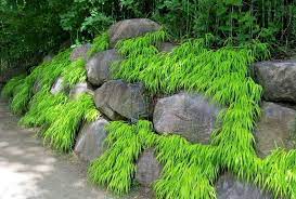 Decoomo Trends Home Decoration Ideas Japanese Rock Garden Japanese Rock Garden Ideas Rock Garden