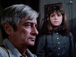 The Illustrated Little House