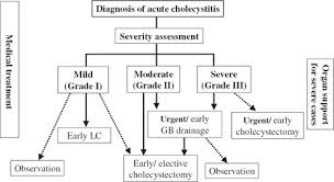 Flowchart For The Management Of Acute Cholecystitis Gb
