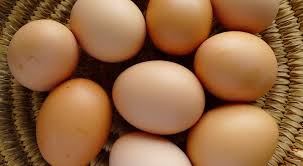 Check spelling or type a new query. Pakar Telur Bisa Kena Bakteri Jika Dicuci Pakai Air Dingin Okezone Lifestyle